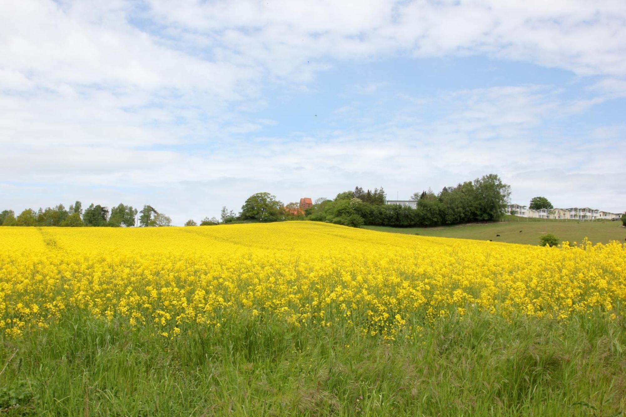 Mit Meerblick Und Balkon, Gratis Nutzung Vom Ahoi Erlebnisbad Und Sauna In Sellin - Meeresblick Fewo 14 Goehren  Luaran gambar